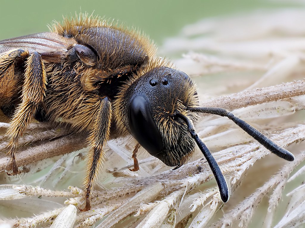 P5043788- 164b.jpg - OLYMPUS DIGITAL CAMERA
